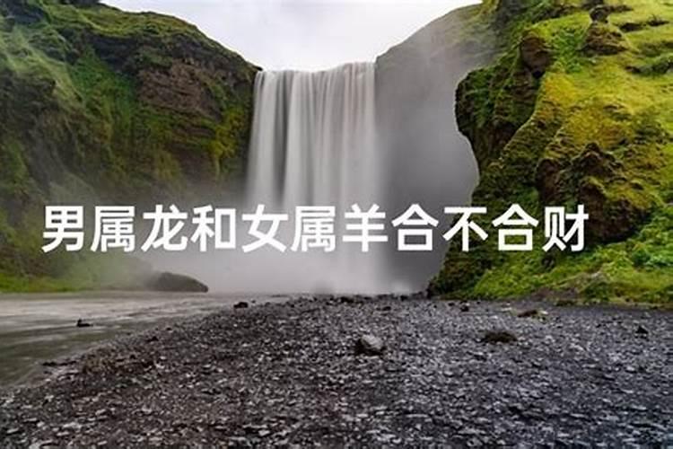 属龙男和属羊女适合做夫妻吗 是否幸福