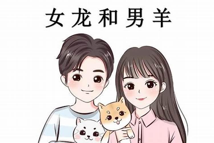 男龙和女羊能用么,属相相克相冲么