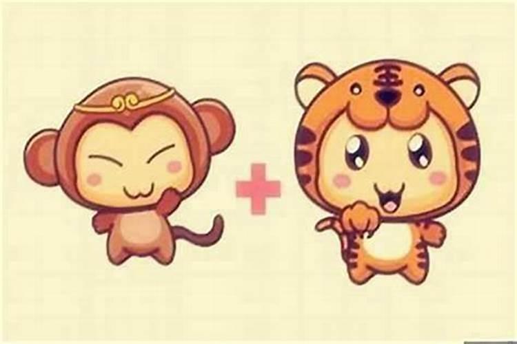 虎和猴属相合不合儿女 属虎的和属猴的八字能在一起合作吗
