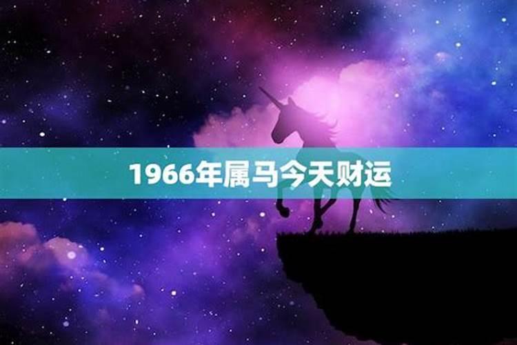 2025属马事业运如何 1966年属马58岁以后命运