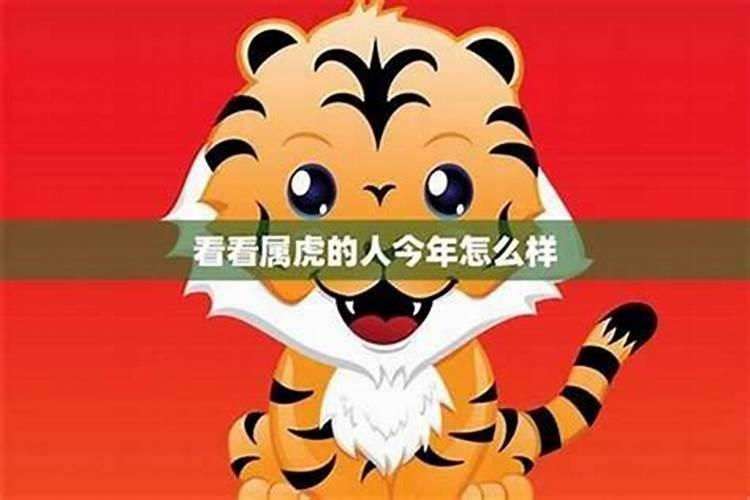 梦见马跟自己说话是什么意思 预兆