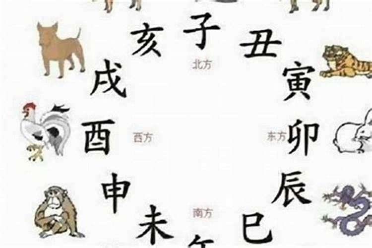 属虎的三合和六个合生肖是什么