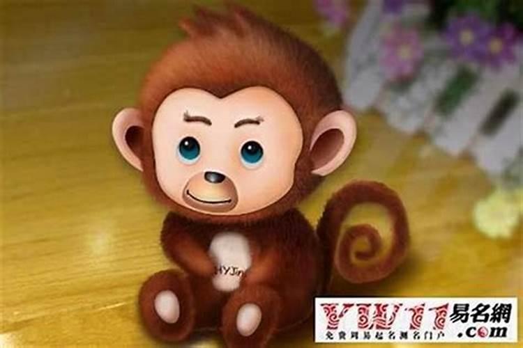 男属猴配与什么属相最好 属猴男的和什么属相最配