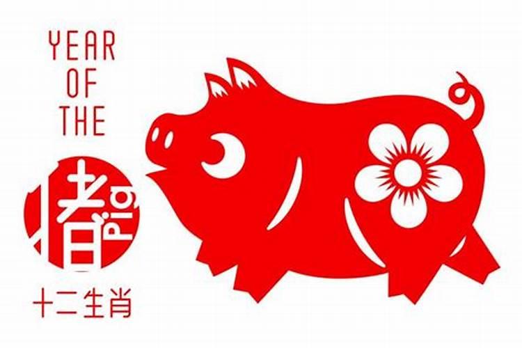 属猪的人2024会有旧情吗 爱情运势如何