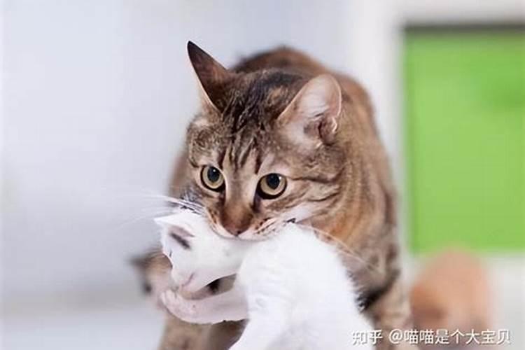 2021年烂岁是哪一天？