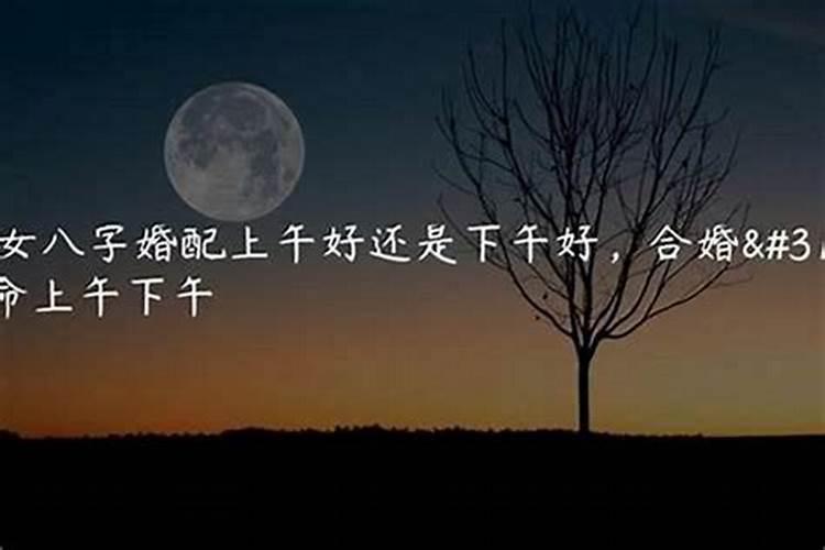属相不合而生辰八字合的婚姻会如何,属相不合而生辰八字相合是否适合结 ...