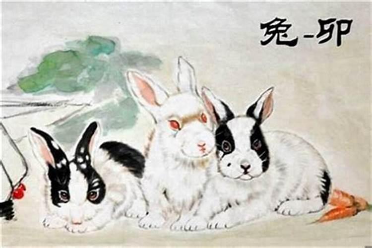 2025属猪犯太岁,冲太岁怎么办