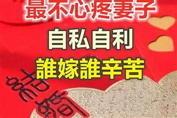 最会心疼老婆的属相男