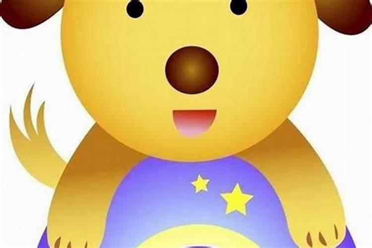 1994年10月19日晚6点左右出生的男属狗人的运势如何？
