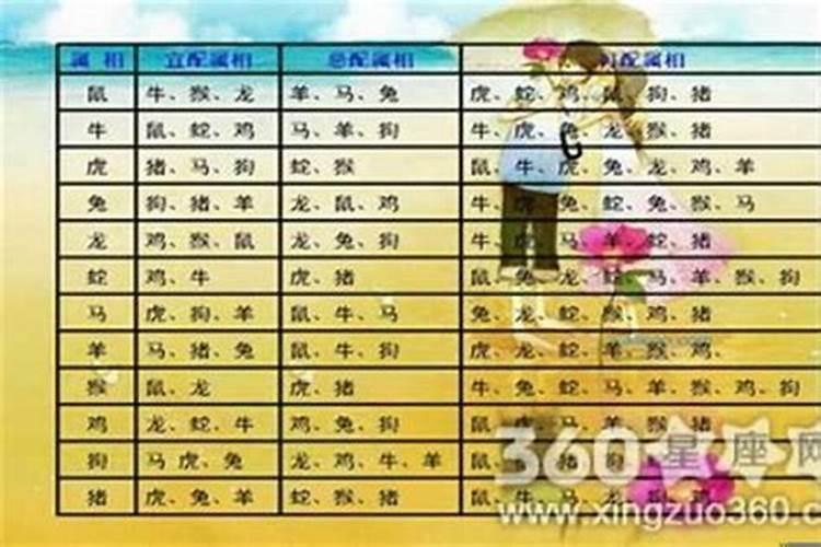 属羊女和什么属相最配