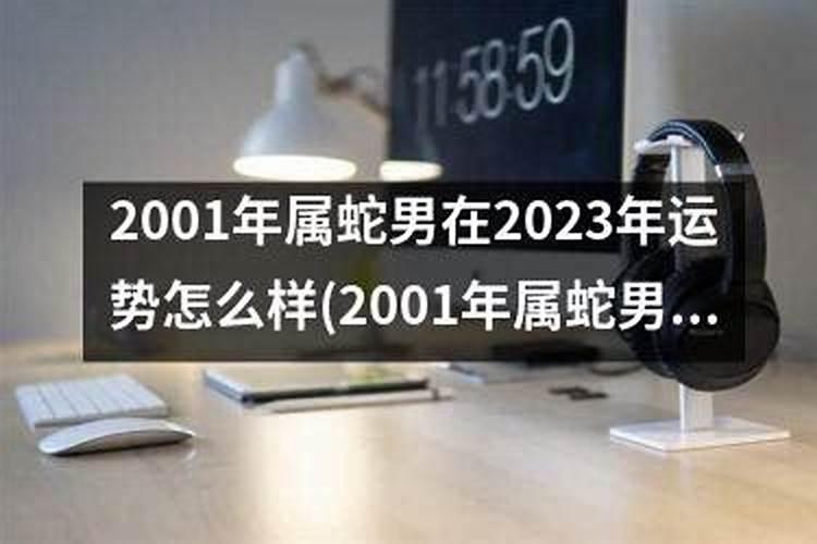 65年属蛇人2025年运程