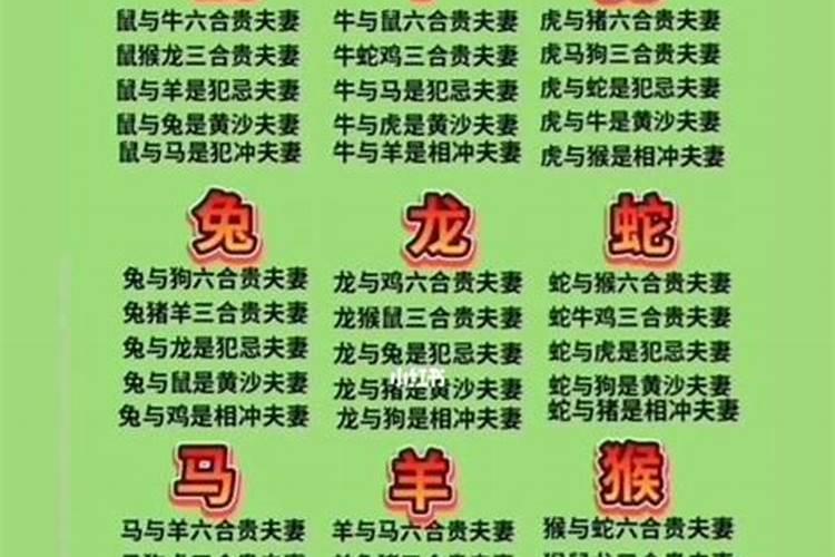 重阳节是什么星座