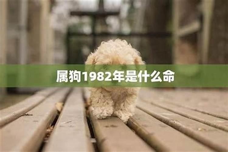 属牛女几月出生命最好