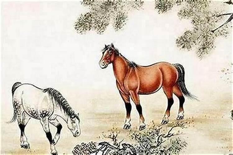 虎年哪个属相犯太岁？