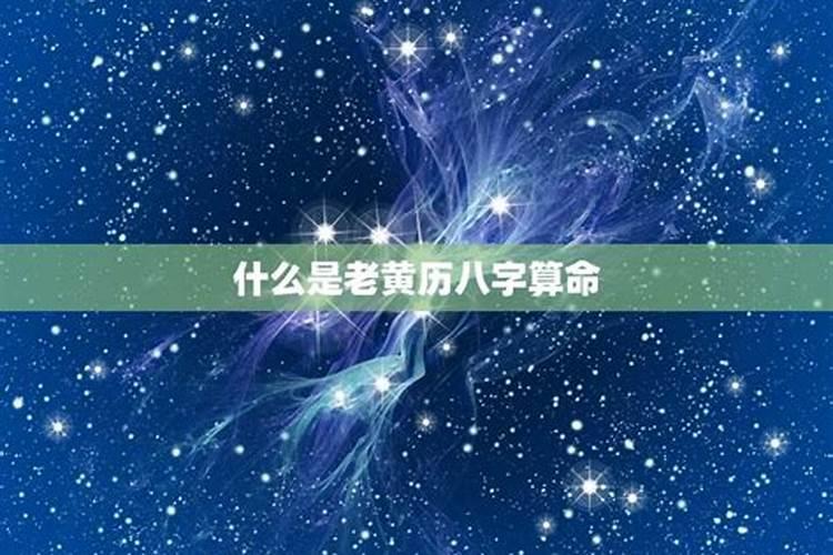 梦到老婆预示什么