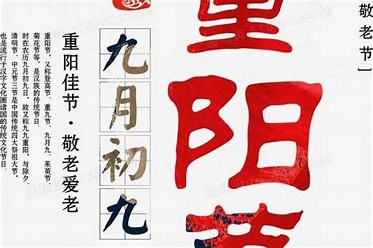 71年猪女在2025年的全年运势如何