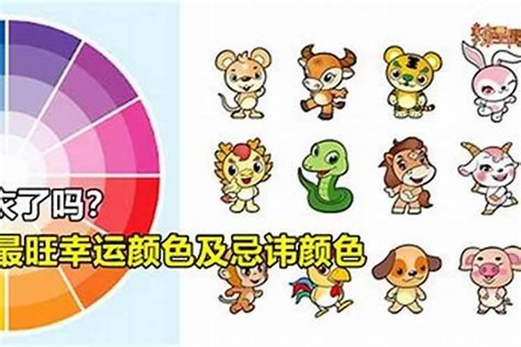属龙人2025年5月运势