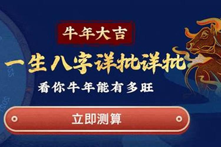 2025年属猪的全年运势
