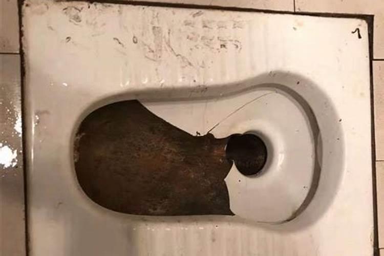 梦见厕所很脏全是屎是什么意思？