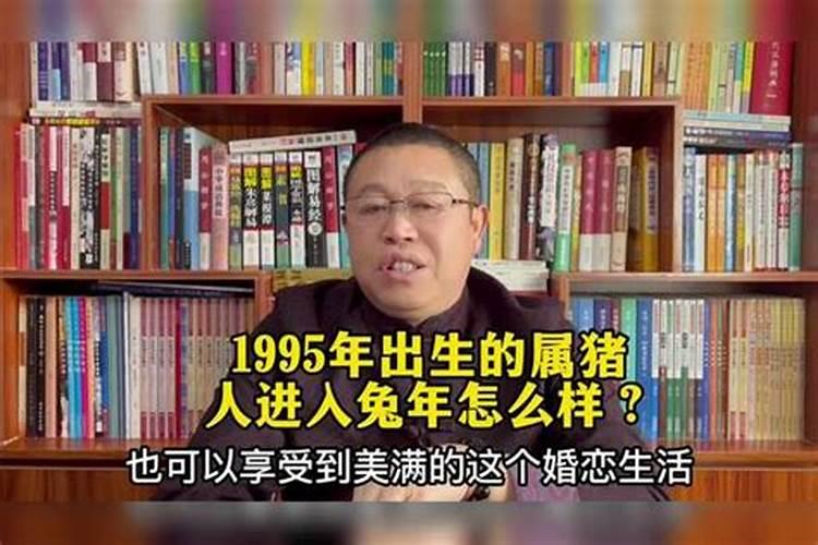 1995年阴历8月26日出生一生运程如何