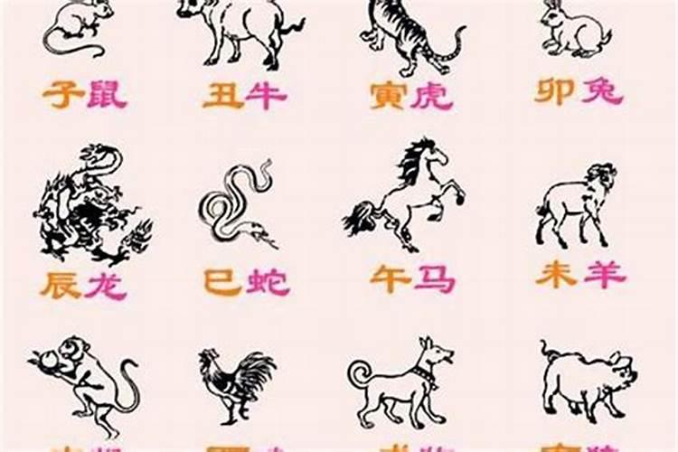1995年属猪是什么命 1995年出生人的命运