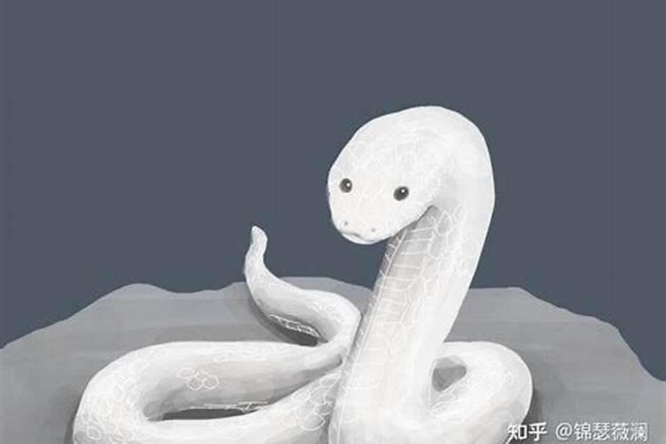 属马农历生辰八字算命