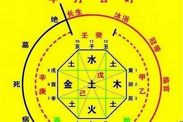 八字的用神是什么意思？