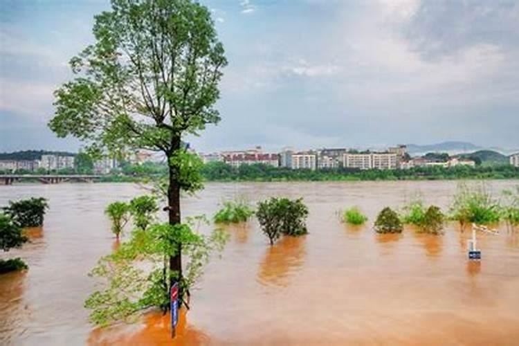 揭阳过年送礼送什么好过年去潮汕旅游好玩吗