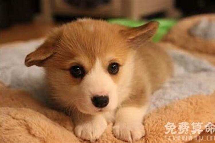八字怎么看配偶出轨外遇信息？