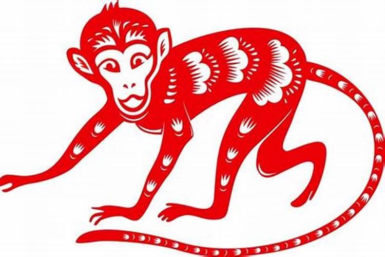 野生太岁哪里买？