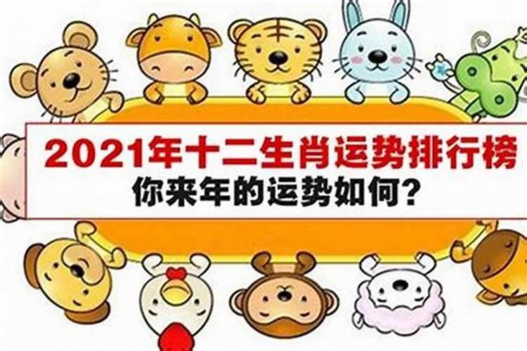 这个月运势不好怎么办