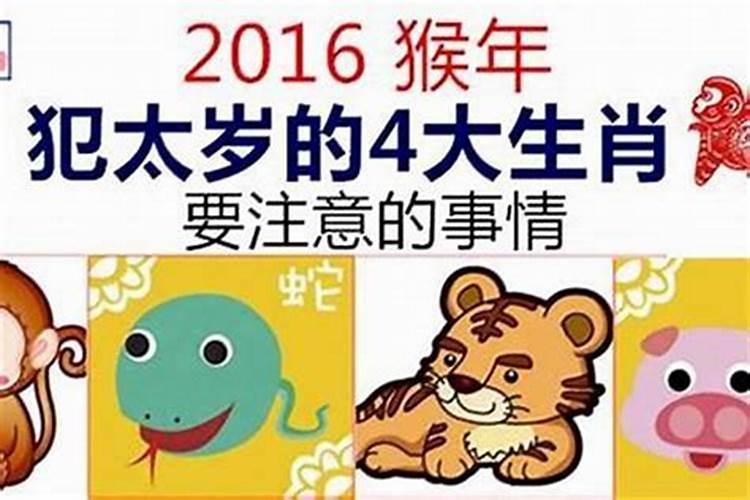 处女座六月份运势2025