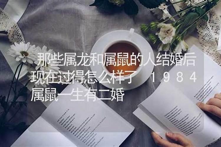 属鼠的命运与婚姻 84年属鼠女人婚姻命运