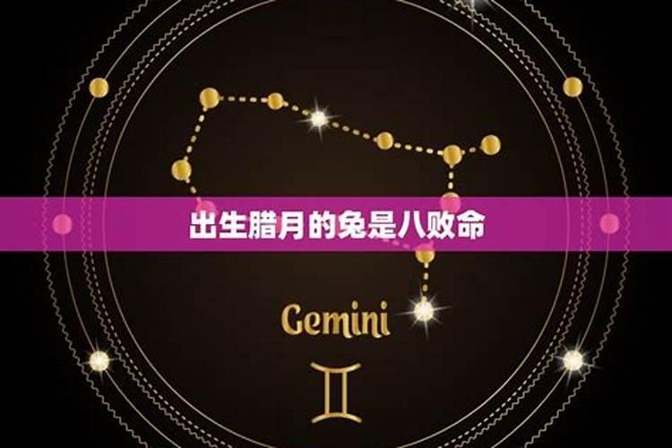 属狗82年农历12月19啥命人