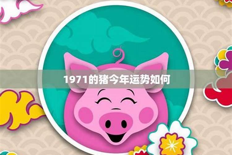 71年猪人2025年运势