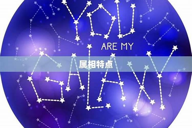 属兔之人与属猴之人八字合吗