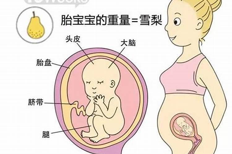 芒种的来历和风俗