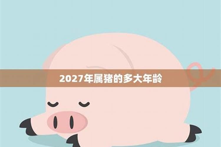 2025年属猪的全年运势