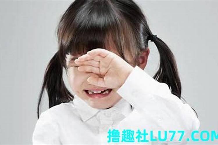 一年可以扫墓几次？