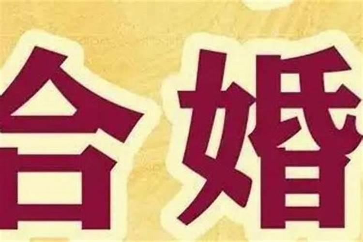 2025属龙犯太岁吗