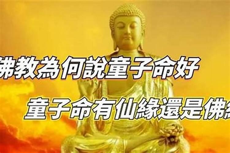 我朋友犯下童子管 我师父说他是天上的善财童子