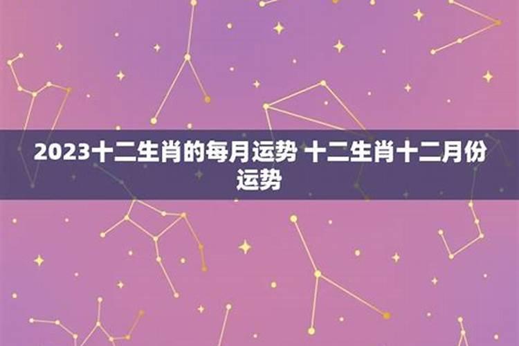 生肖鼠2024年12个月份运势分析
