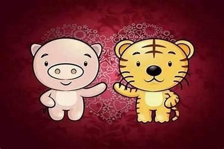 男属猪,女虎合婚吗？