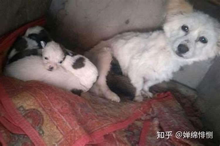 梦见巨浪向我涌来什么预兆 梦见巨浪向自己袭来什么意思