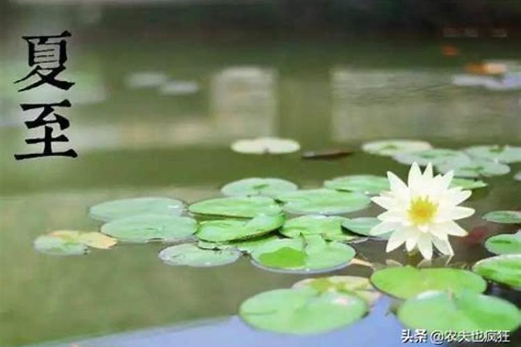 梦见女人对我示好的预兆