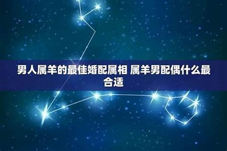 属马的和什么属相最是最佳婚配