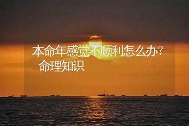 属相婚配真的有科学依据吗,是不是真的有属相相配这种说法呢？