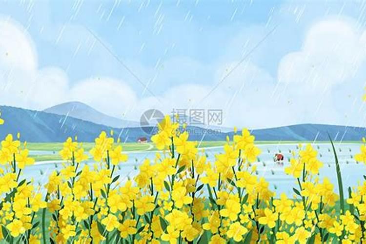 害太岁属虎的怎么化解2025年