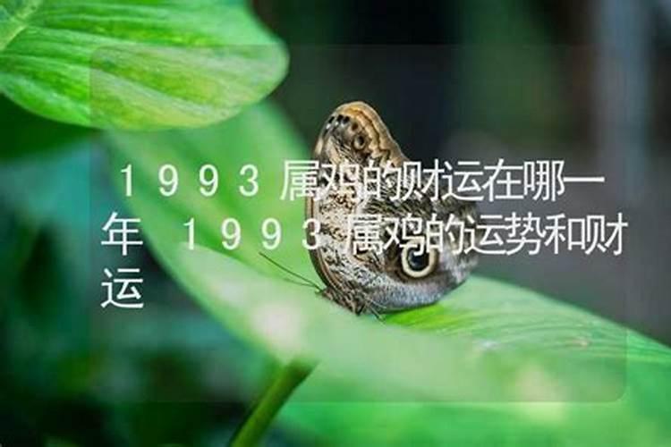 1993年属鸡人哪一年走大运 93年生肖鸡如何接财运？