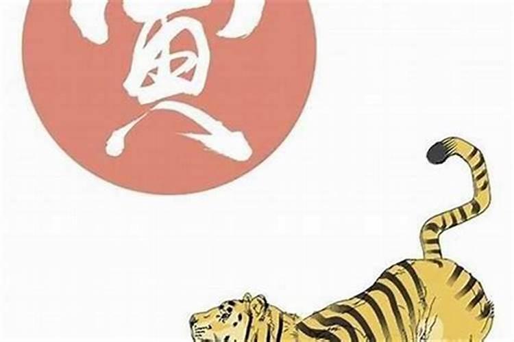 属龙与属虎的婚配合适吗龙和虎的婚姻能配吗